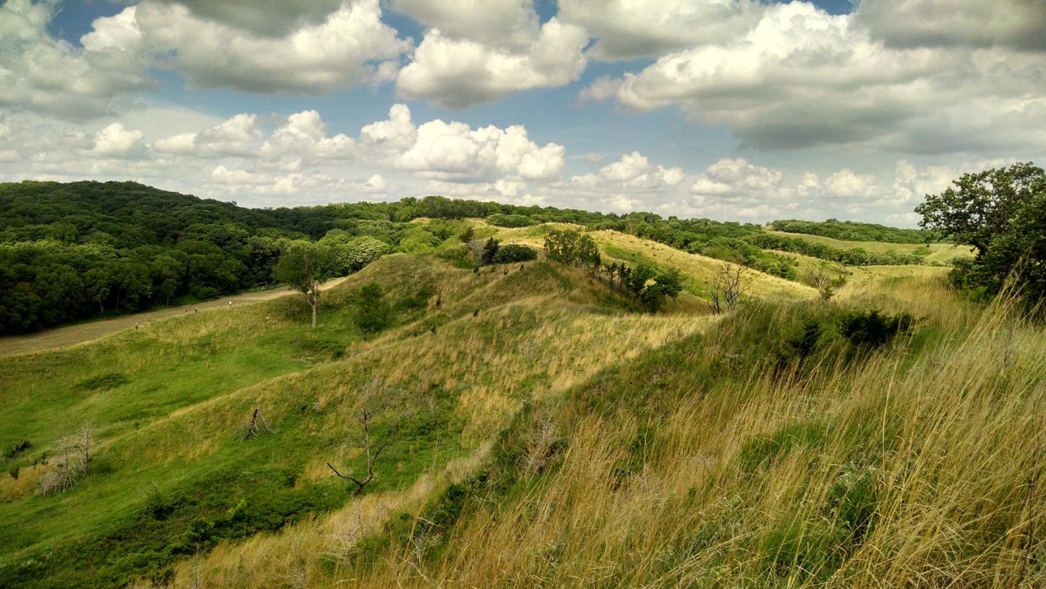 Together, for the Land - Iowa Natural Heritage Foundation 